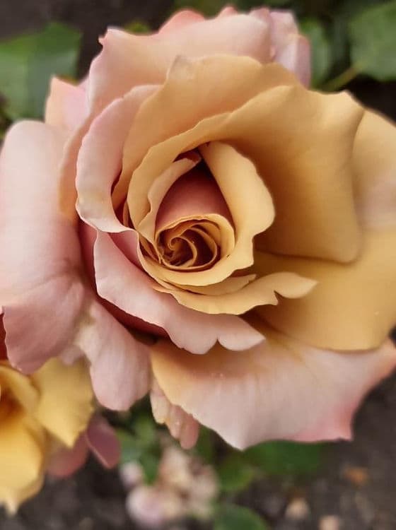 Фото 2