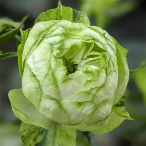 Фото 5