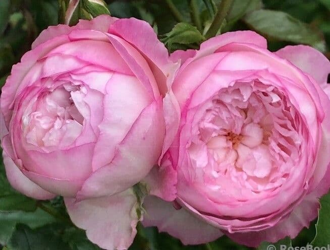Фото 2