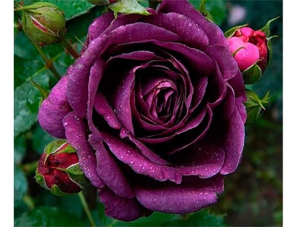 Фото 3