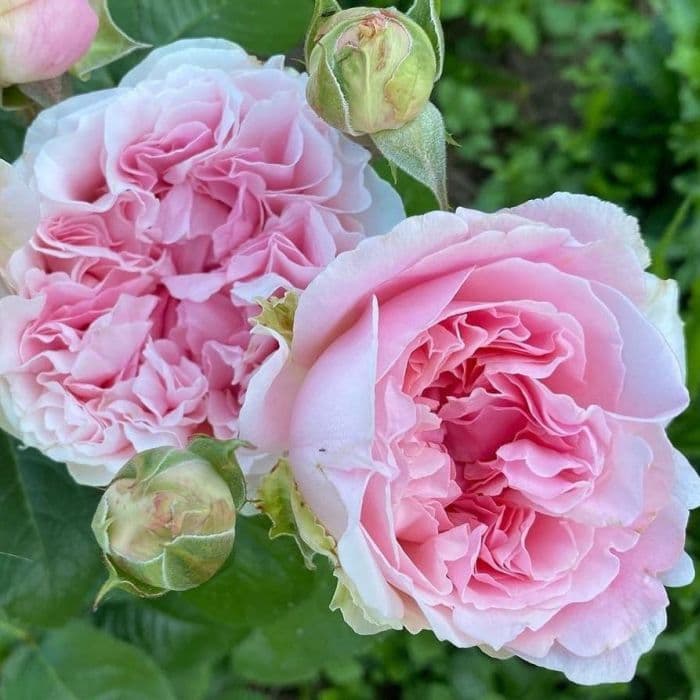 Фото 3