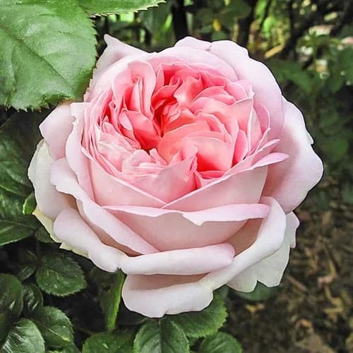 Фото 2