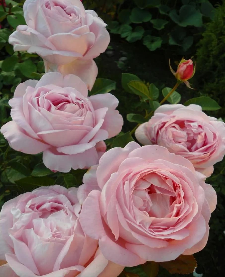 Фото 3