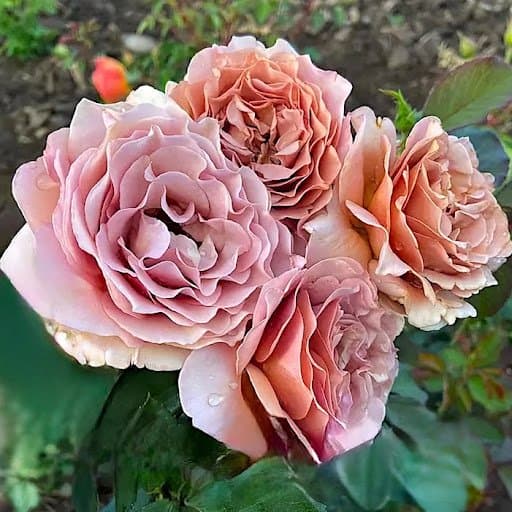 Фото 2