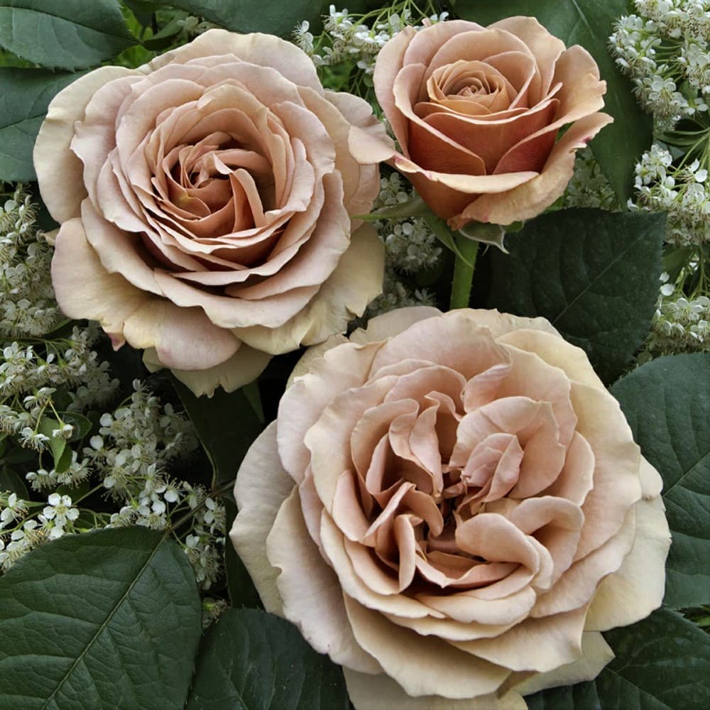 Фото 3