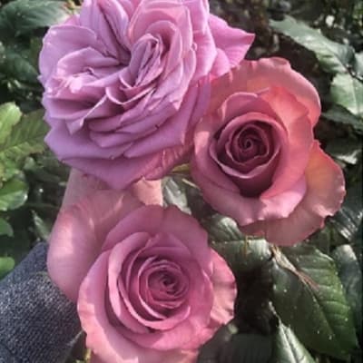 Фото 2