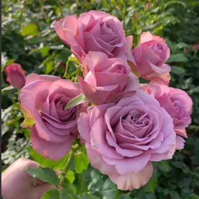 Фото 3