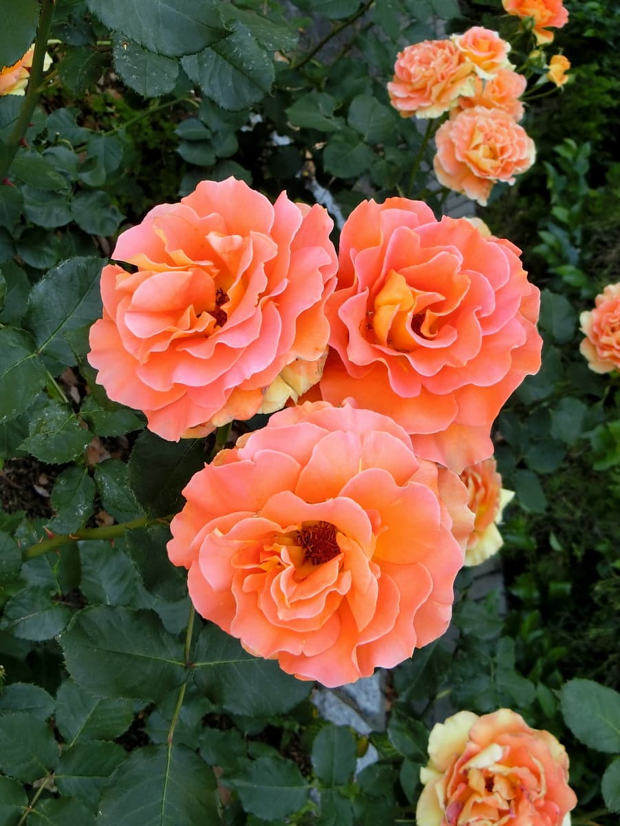 Фото 2
