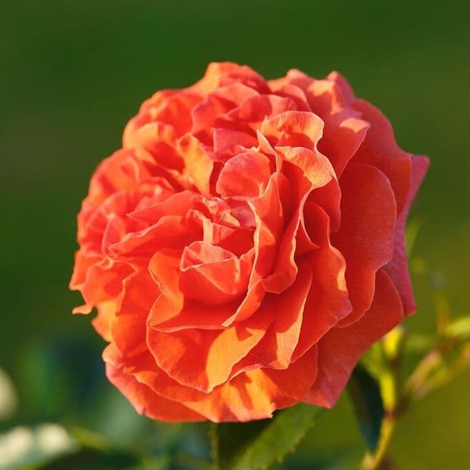Фото 3