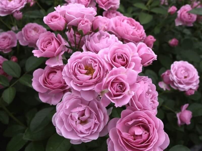 Фото 3