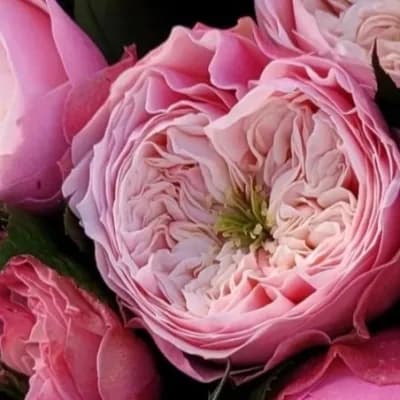 Фото 4