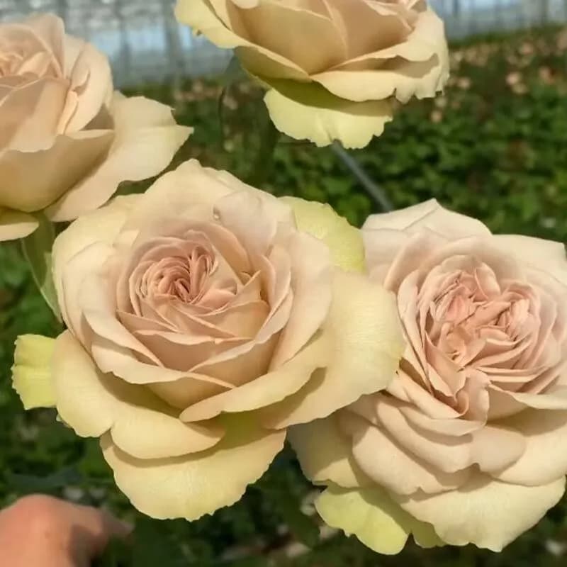 Фото 3