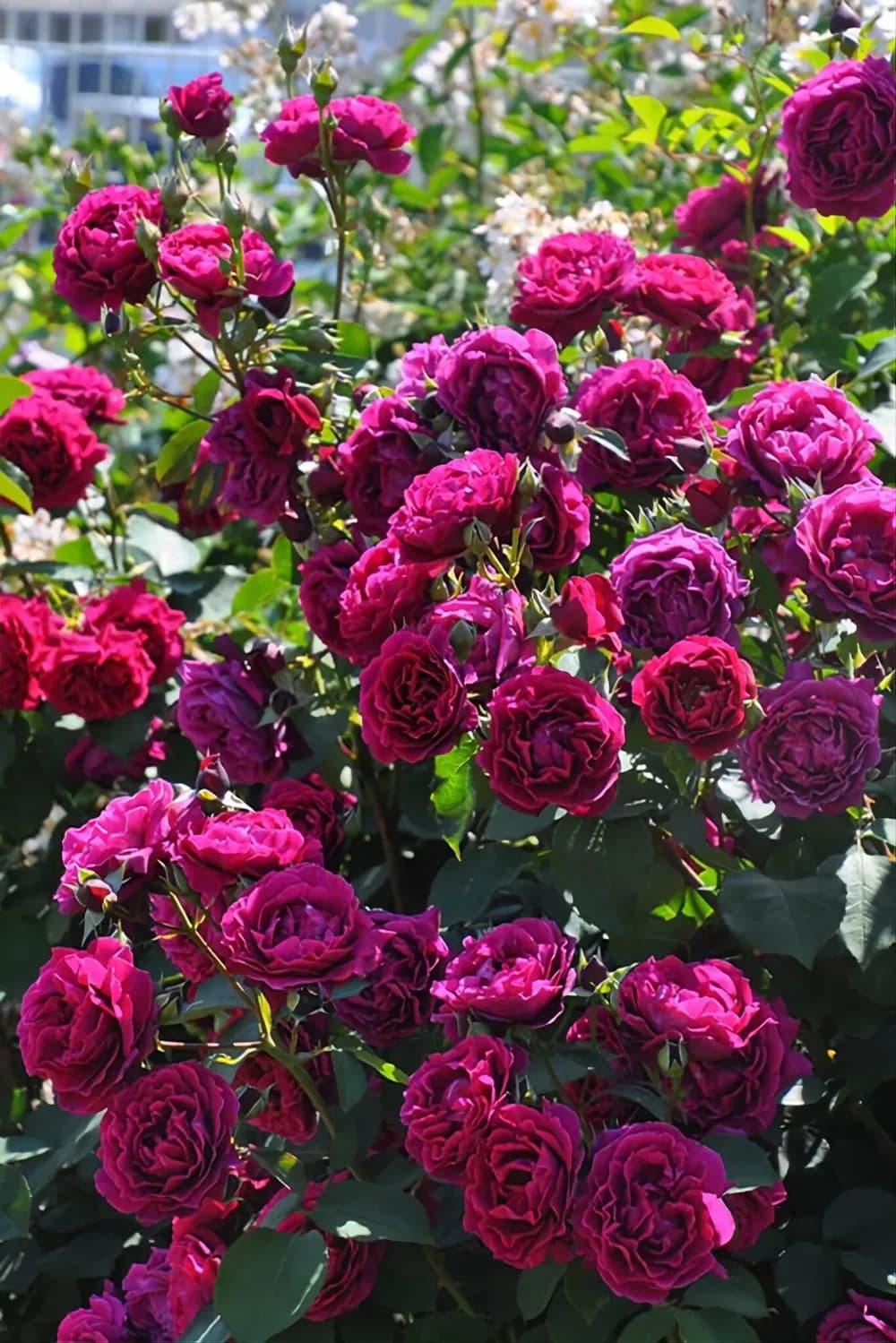 Фото 2