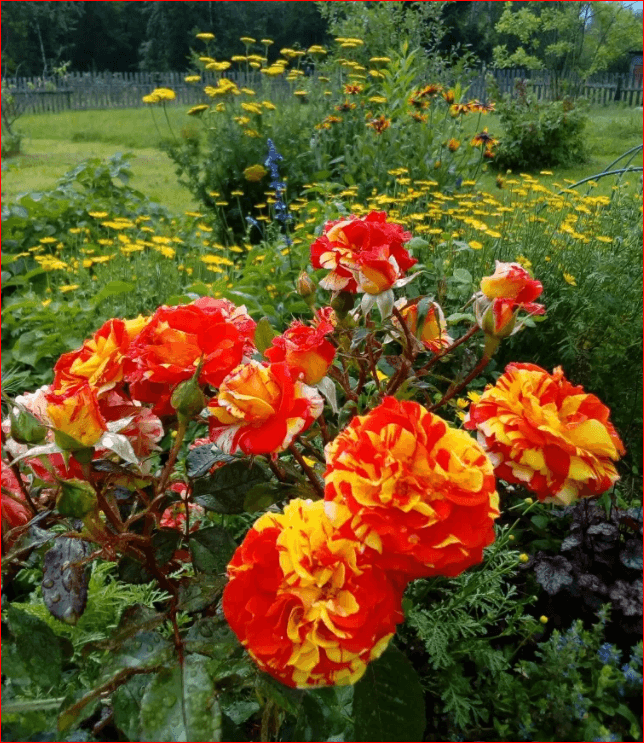 Фото 4