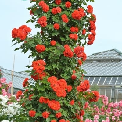 Фото 2