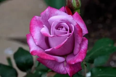 Фото 2