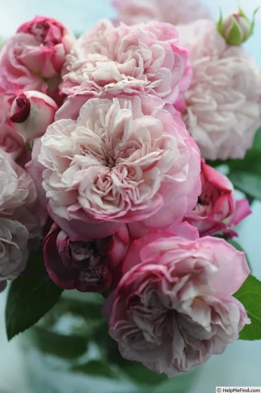 Фото 2