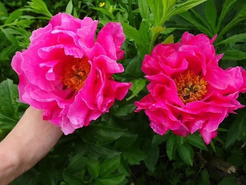 Фото 3