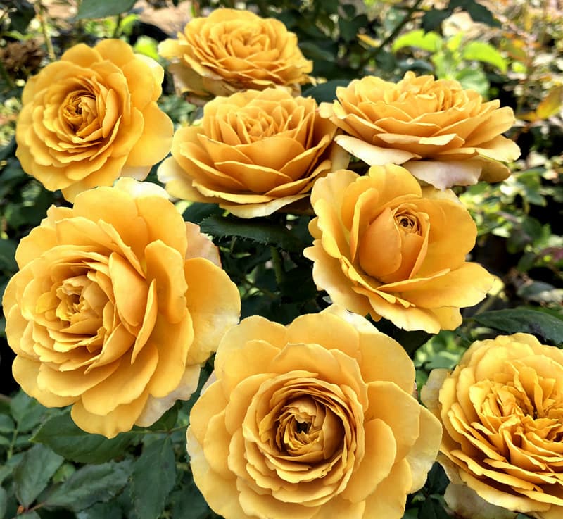 Фото 4