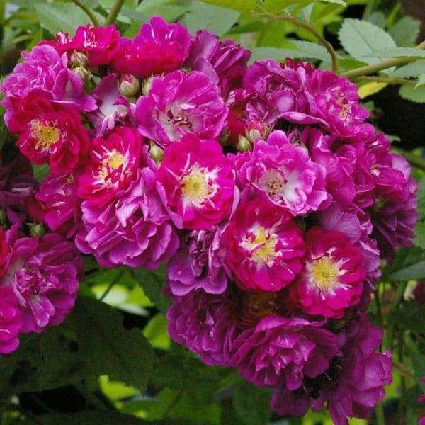 Фото 2