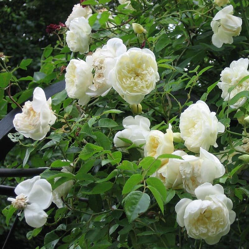 Фото 2