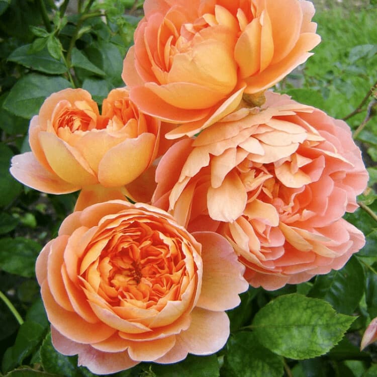Фото 2