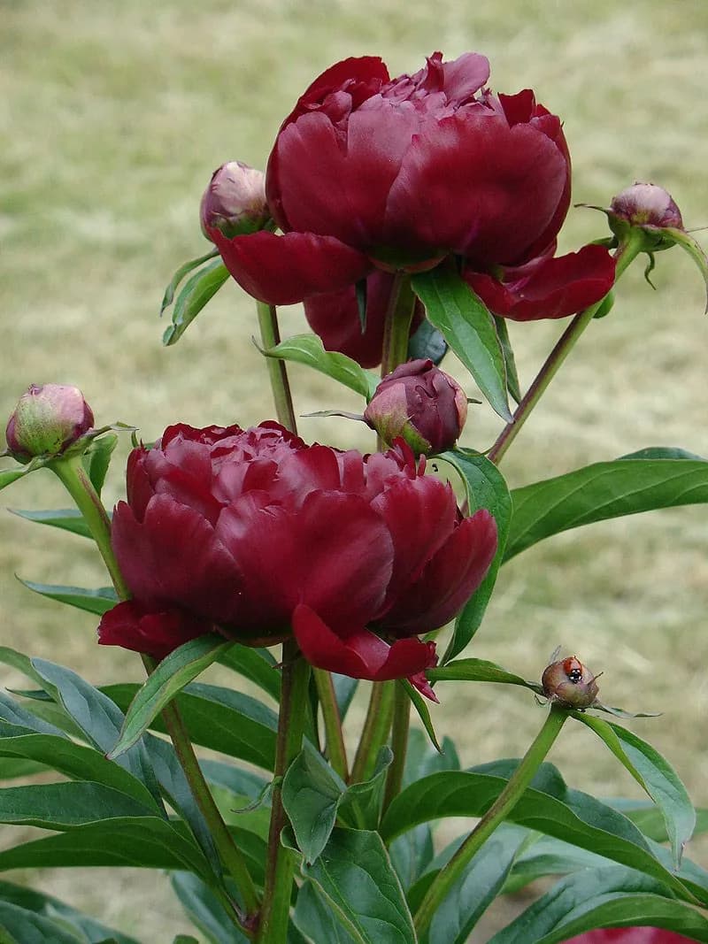 Фото 3