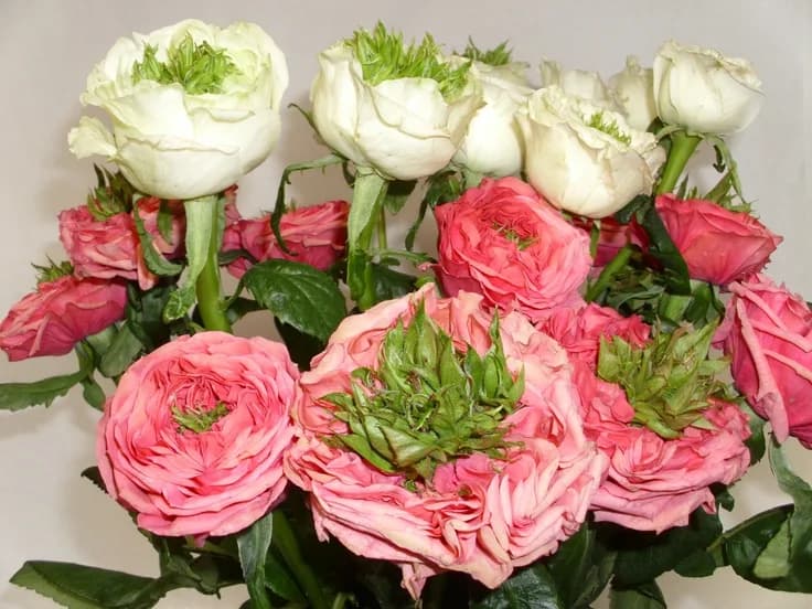 Фото 2