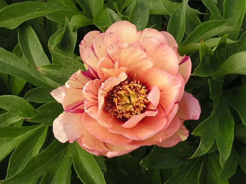 Фото 2