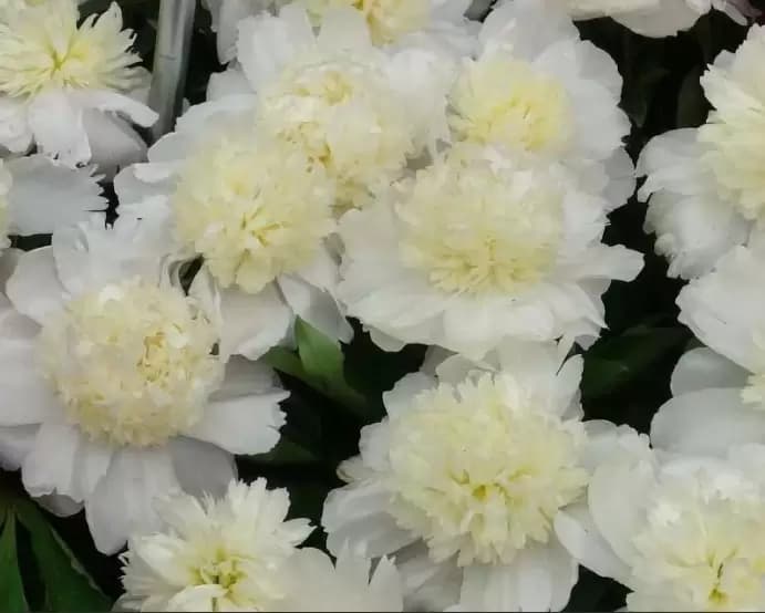 Фото 2