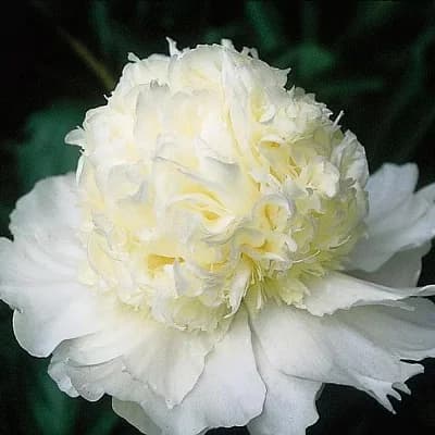 Фото 3