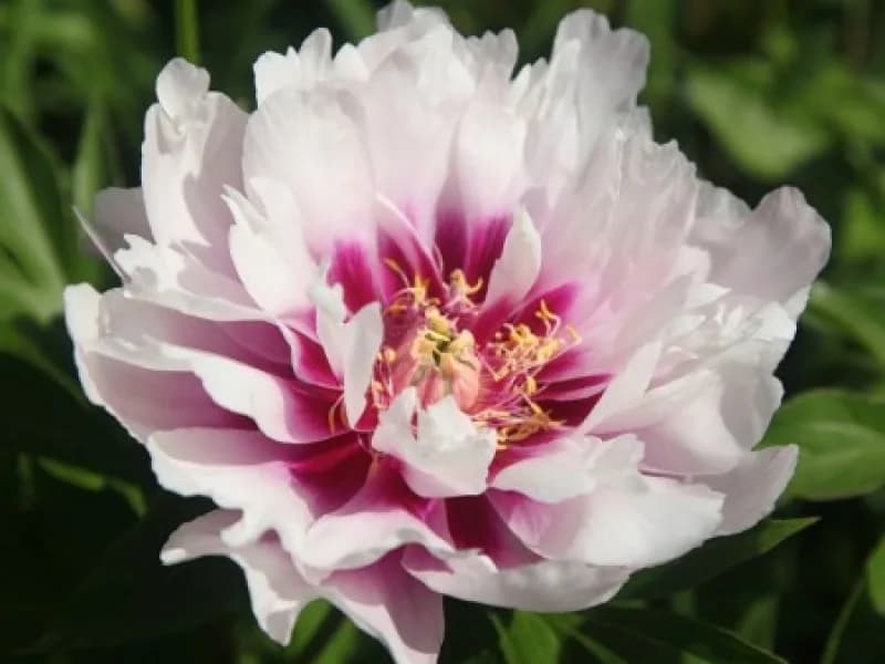 Фото 2