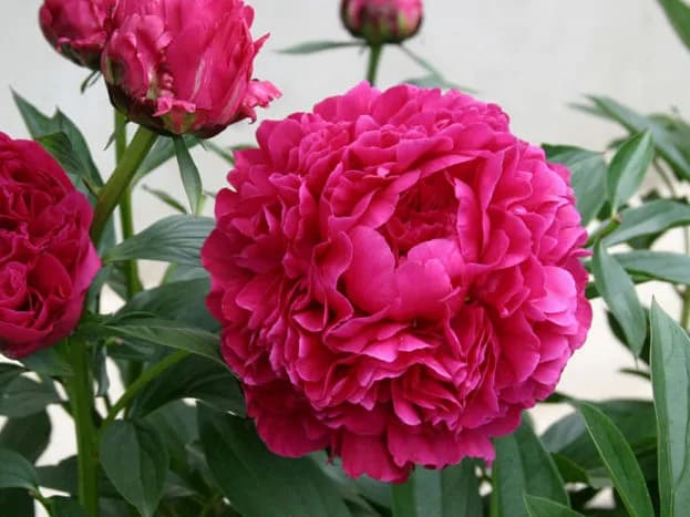 Фото 2