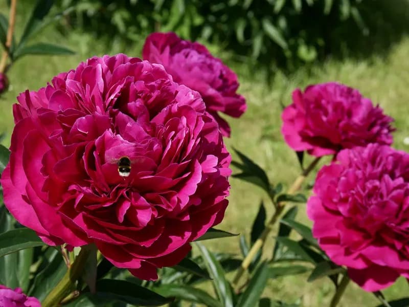 Фото 3