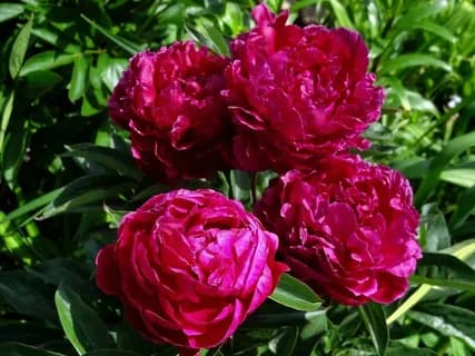 Фото 4
