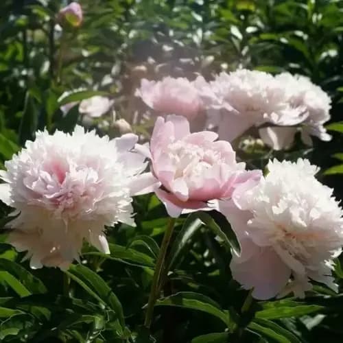Фото 2
