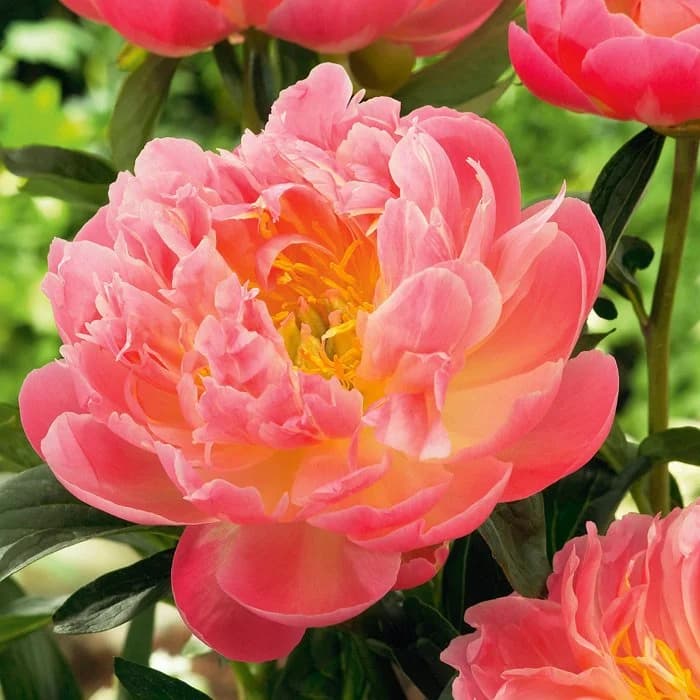 Фото 2
