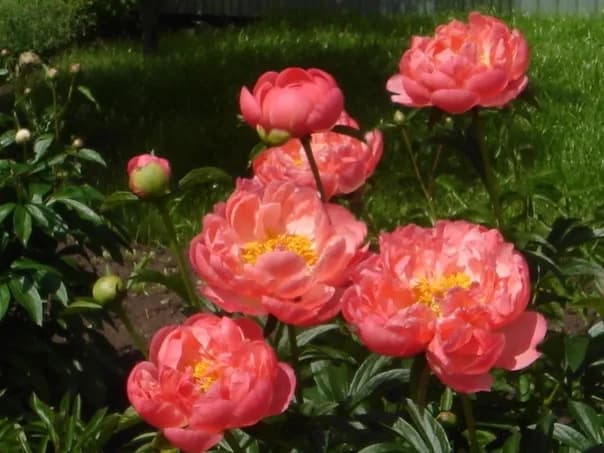 Фото 3