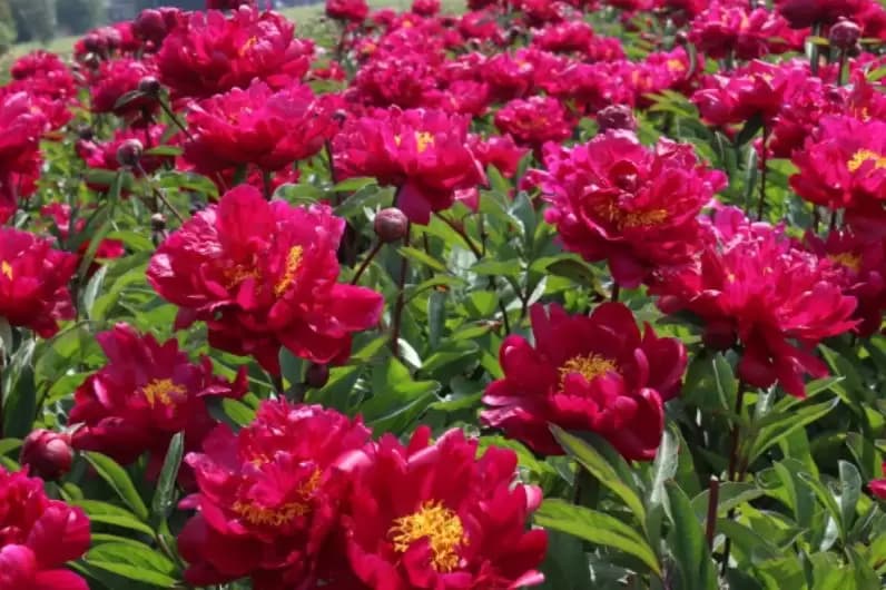 Фото 2