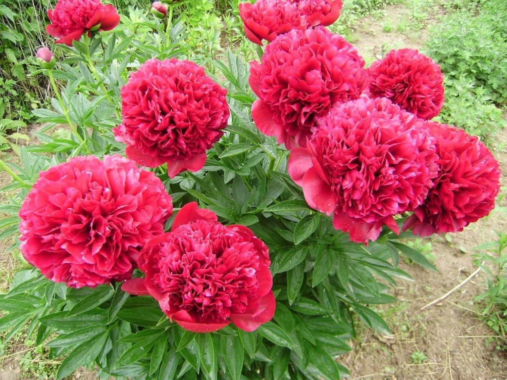 Фото 3