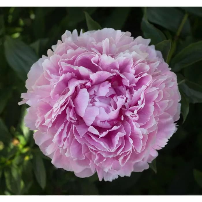 Фото 2