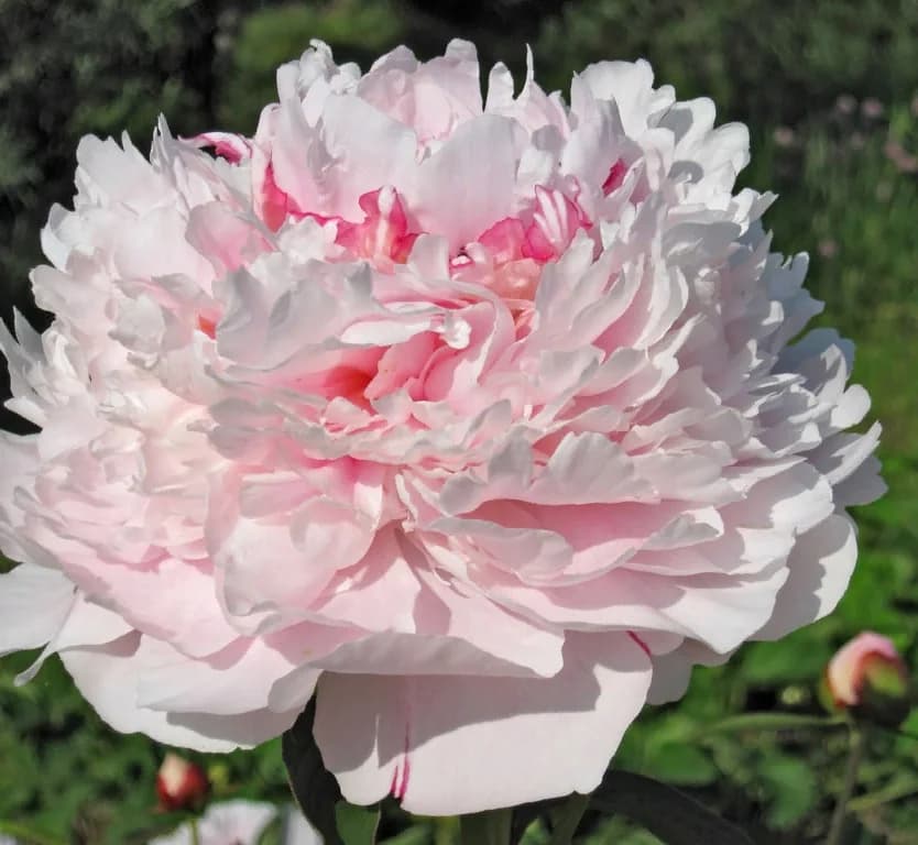 Фото 3