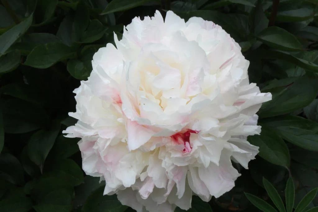 Фото 2