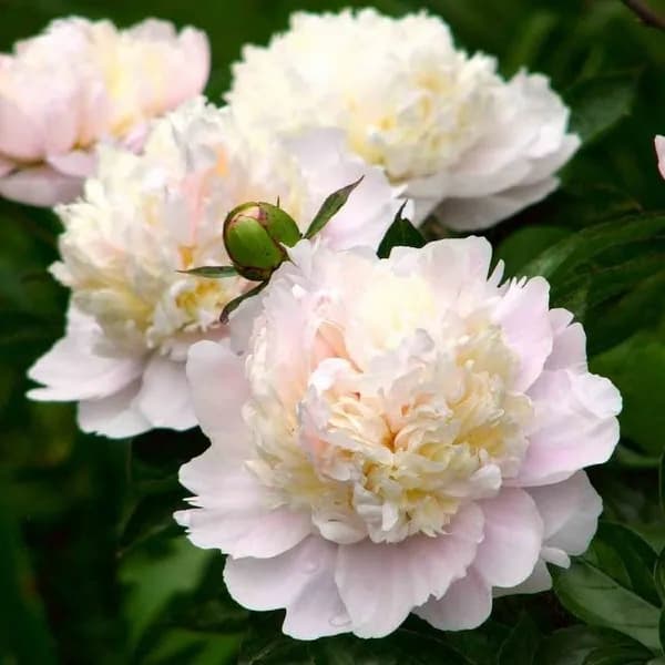 Фото 3