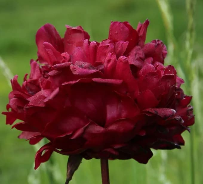 Фото 2