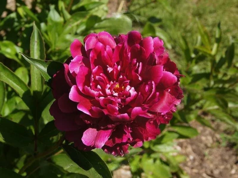 Фото 3