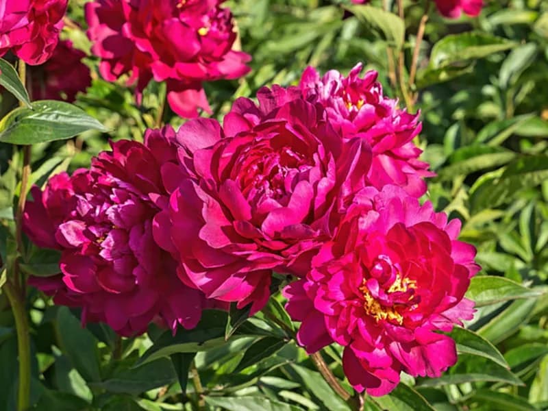 Фото 4