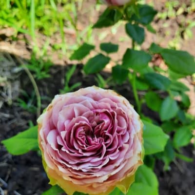 Фото 3