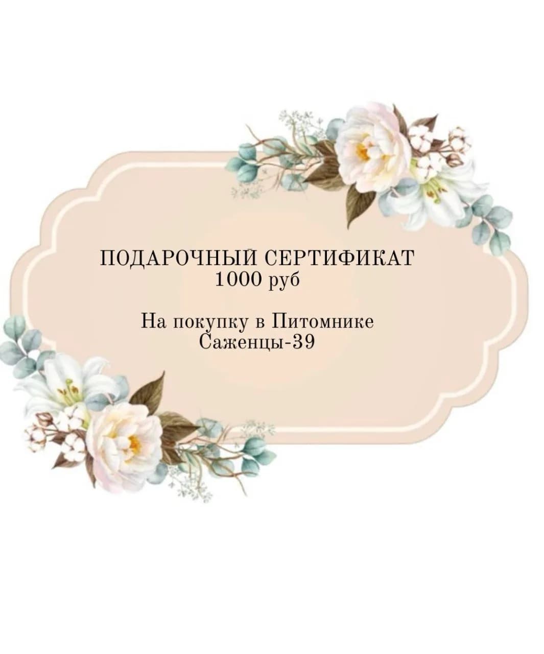 ПОДАРОЧНЫЙ СЕРТИФИКАТ