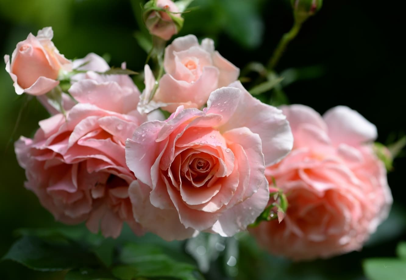 Фото 2